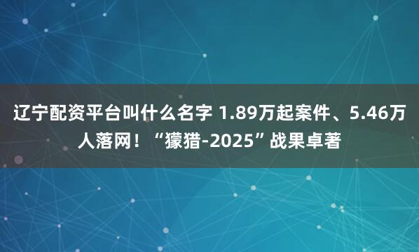 辽宁配资平台叫什么名字 1.89万起案件、5.46万人落网！“獴猎-2025”战果卓著